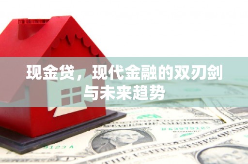 康保现金贷，现代金融的双刃剑与未来趋势
