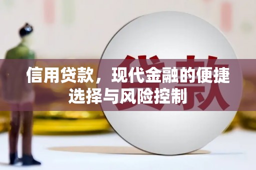 康保信用贷款，现代金融的便捷选择与风险控制