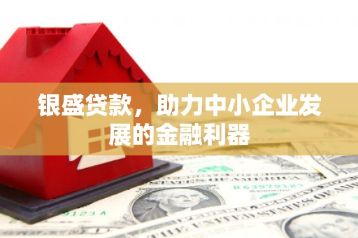 康保银盛贷款，助力中小企业发展的金融利器