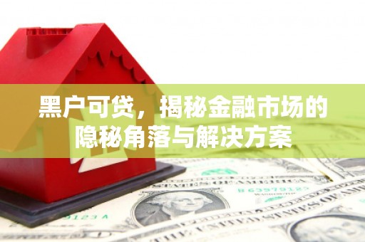康保黑户可贷，揭秘金融市场的隐秘角落与解决方案