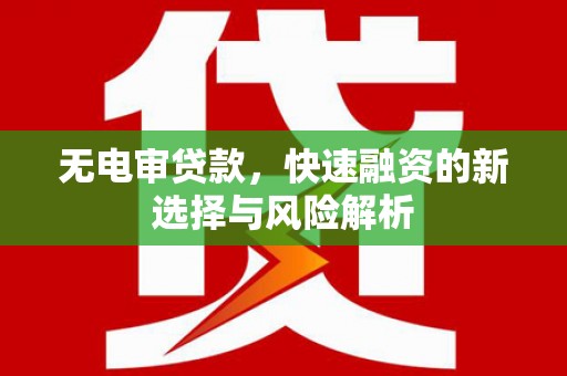 康保无电审贷款，快速融资的新选择与风险解析