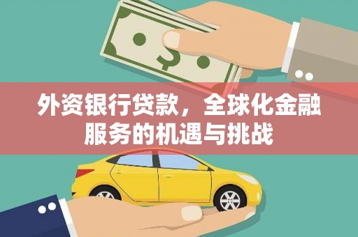 康保外资银行贷款，全球化金融服务的机遇与挑战