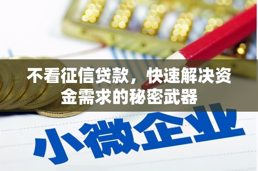 康保不看征信贷款，快速解决资金需求的秘密武器