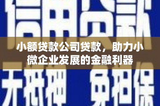 康保小额贷款公司贷款，助力小微企业发展的金融利器