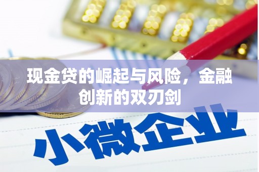 康保现金贷的崛起与风险，金融创新的双刃剑