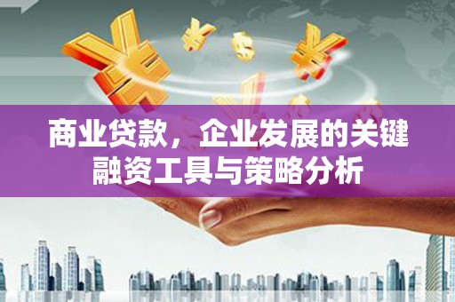 康保商业贷款，企业发展的关键融资工具与策略分析