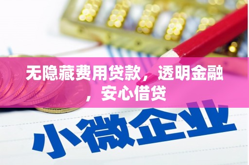 康保无隐藏费用贷款，透明金融，安心借贷