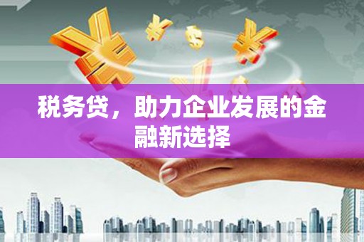 康保税务贷，助力企业发展的金融新选择