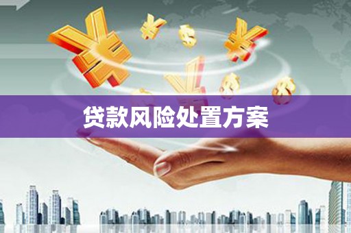 康保贷款风险处置方案