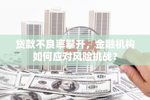 康保贷款不良率攀升，金融机构如何应对风险挑战？
