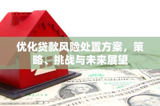 康保优化贷款风险处置方案，策略、挑战与未来展望