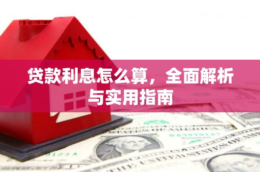 康保贷款利息怎么算，全面解析与实用指南