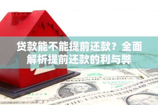 康保贷款能不能提前还款？全面解析提前还款的利与弊