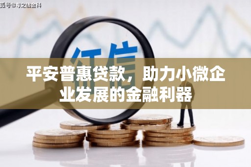 康保平安普惠贷款，助力小微企业发展的金融利器