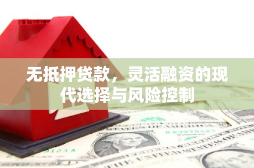 康保无抵押贷款，灵活融资的现代选择与风险控制