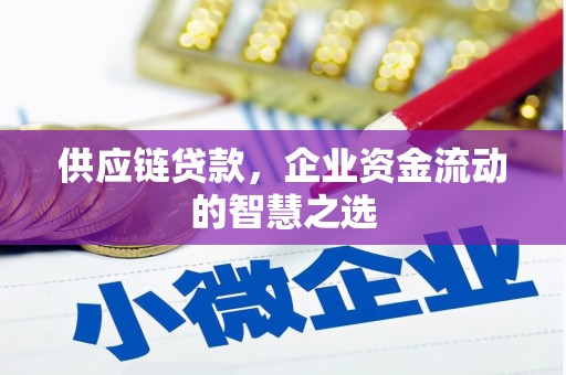 康保供应链贷款，企业资金流动的智慧之选