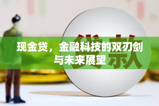 康保现金贷，金融科技的双刃剑与未来展望