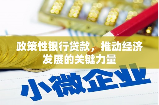 康保政策性银行贷款，推动经济发展的关键力量