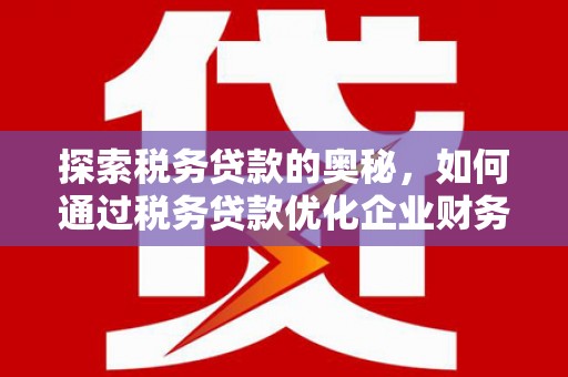 康保探索税务贷款的奥秘，如何通过税务贷款优化企业财务