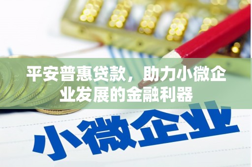 康保平安普惠贷款，助力小微企业发展的金融利器