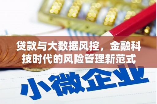 康保贷款与大数据风控，金融科技时代的风险管理新范式