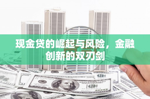 康保现金贷的崛起与风险，金融创新的双刃剑