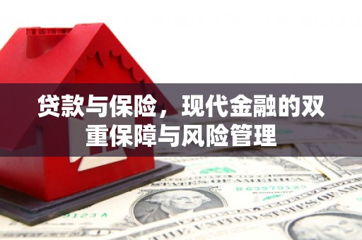 康保贷款与保险，现代金融的双重保障与风险管理