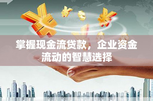 康保掌握现金流贷款，企业资金流动的智慧选择