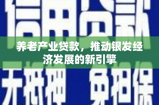 康保养老产业贷款，推动银发经济发展的新引擎