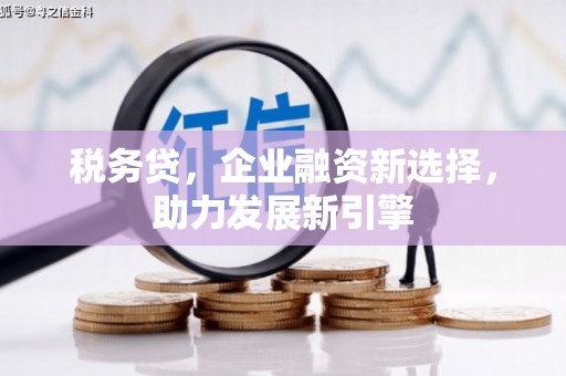 康保税务贷，企业融资新选择，助力发展新引擎