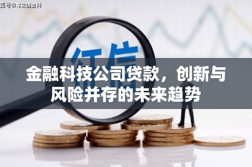 康保金融科技公司贷款，创新与风险并存的未来趋势