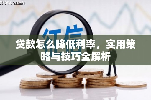 康保贷款怎么降低利率，实用策略与技巧全解析