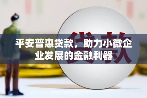 康保平安普惠贷款，助力小微企业发展的金融利器