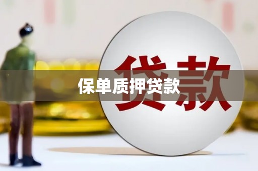 康保保单质押贷款