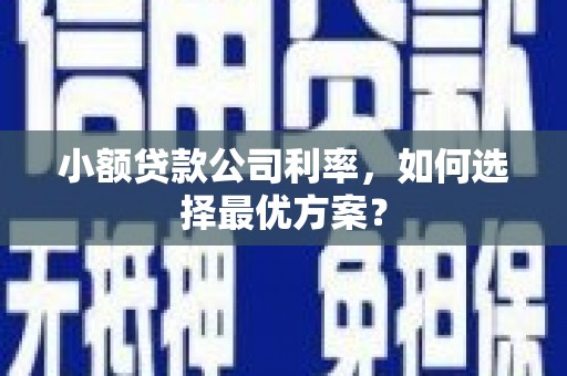 康保小额贷款公司利率，如何选择最优方案？