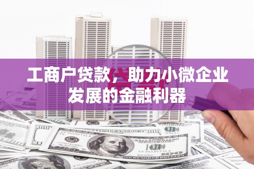 康保工商户贷款，助力小微企业发展的金融利器