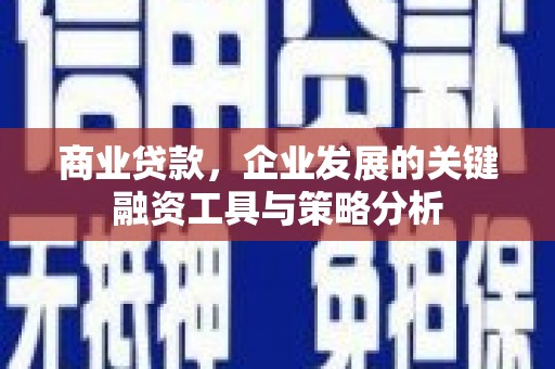 康保商业贷款，企业发展的关键融资工具与策略分析