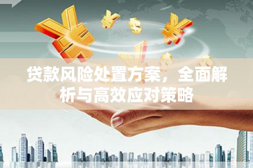 康保贷款风险处置方案，全面解析与高效应对策略