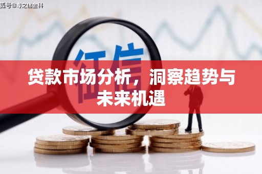 康保贷款市场分析，洞察趋势与未来机遇