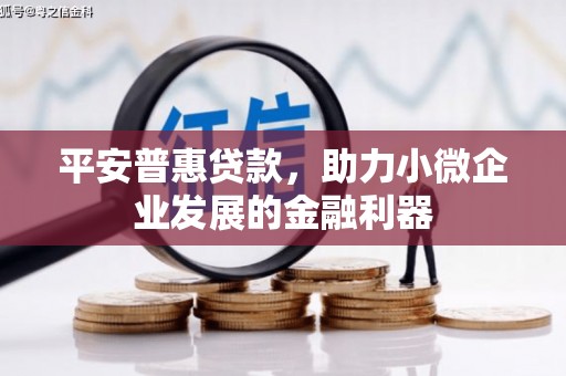 康保平安普惠贷款，助力小微企业发展的金融利器