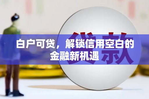 康保白户可贷，解锁信用空白的金融新机遇