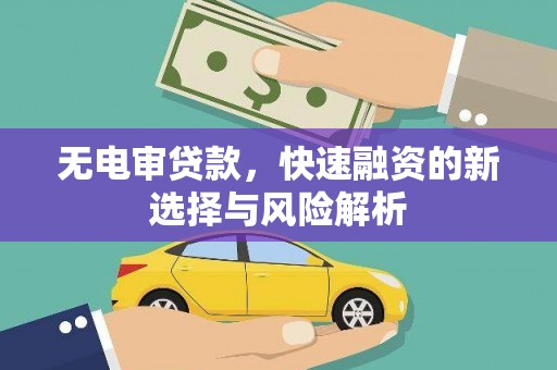 康保无电审贷款，快速融资的新选择与风险解析