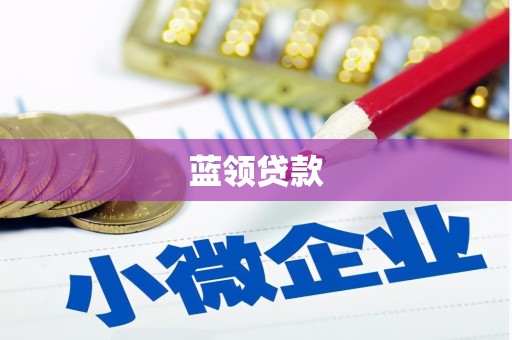 康保蓝领贷款