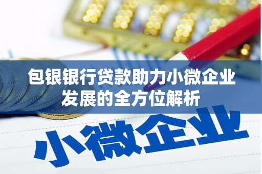 康保包银银行贷款助力小微企业发展的全方位解析