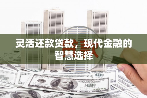 康保灵活还款贷款，现代金融的智慧选择