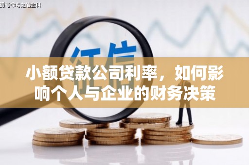 康保小额贷款公司利率，如何影响个人与企业的财务决策