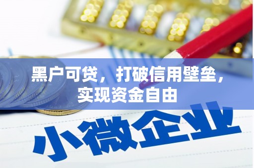 康保黑户可贷，打破信用壁垒，实现资金自由