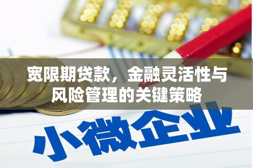 康保宽限期贷款，金融灵活性与风险管理的关键策略