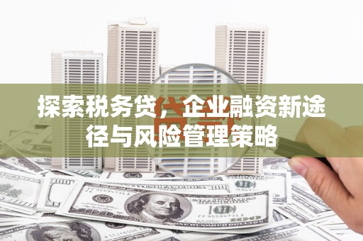 康保探索税务贷，企业融资新途径与风险管理策略