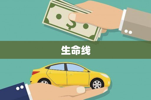 康保生命线